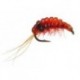 Body Glass Gammarus Red
