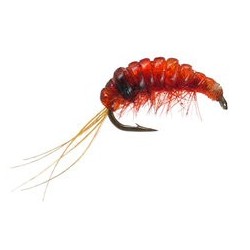 Body Glass Gammarus Red
