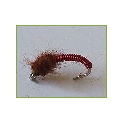 brassie red midge