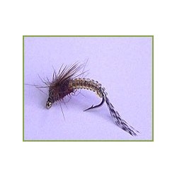 Brown BS Emerger