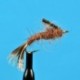 Brown Drake Nymph