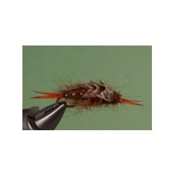 Brown Kaufmanns Stone