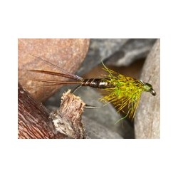 Brown Mayfly Nymph