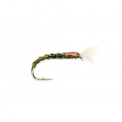 Buzzer Big Fish Olive