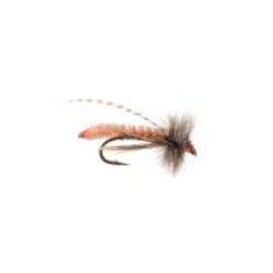 CADDIS POOPAH