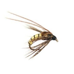 Caddis Pupa Cream