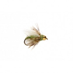 Caddis Pupa Green (BH)