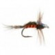 Carrot Nymph