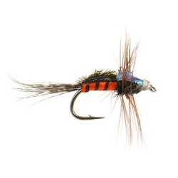 Carrot Nymph