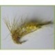 Case Seeking Caddis