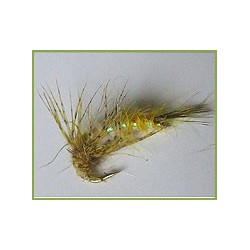 Case Seeking Caddis