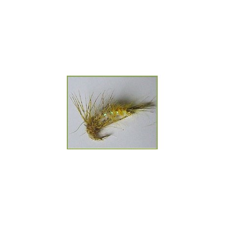 Case Seeking Caddis
