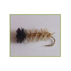 Cased Caddis