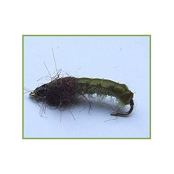 Caseless Caddis Olive