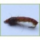 Caseless Caddis Orange Brown