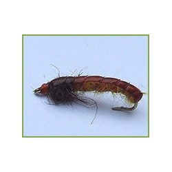 Caseless Caddis Orange Brown