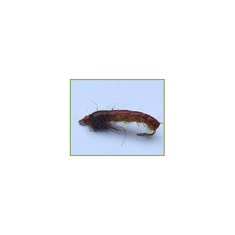 Caseless Caddis Orange Brown
