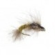 CDC Emerger Olive