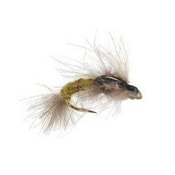 CDC Emerger Olive