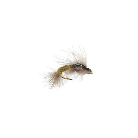 CDC Emerger Olive