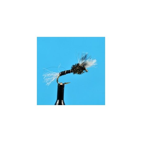 Chironomid Pupa Black