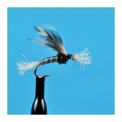 Chironomid Pupa Grey