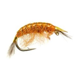 Classic Gammarus Fluo Orange