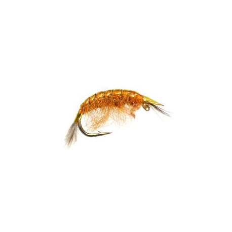 Classic Gammarus Fluo Orange
