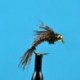 Bead Head Pheasant Tail Hot Wired