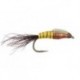 Copper Yellow Nymph