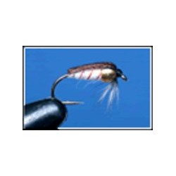 Corixa Depth Charged