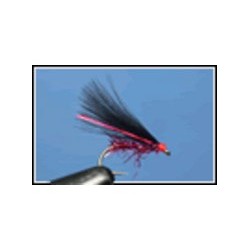 Cormorant Black Claret UV