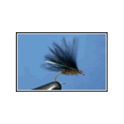 Cormorant Olive Black