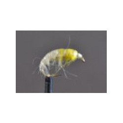 czech hares ear amber