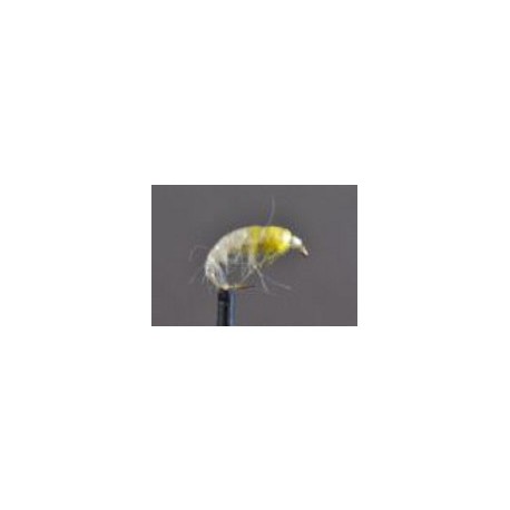 czech hares ear amber