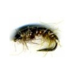 Czech nymph Olive Brown