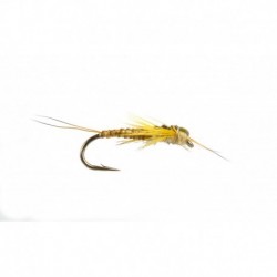 Edward's Stonefly Yellow
