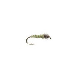 electric caddis