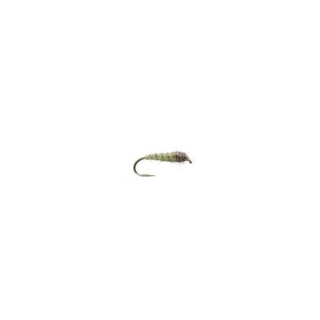 electric caddis