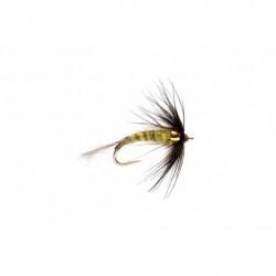 Flymph BWO (BH)