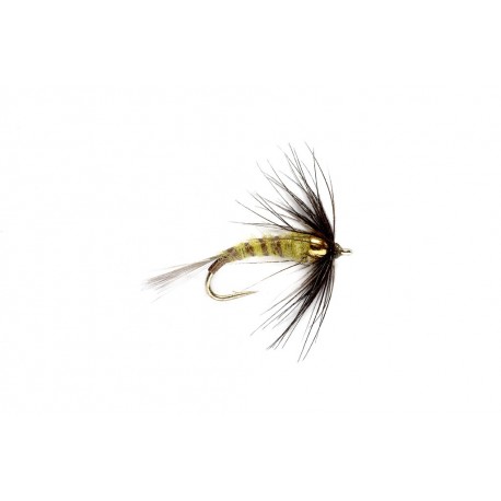 Flymph BWO (BH)