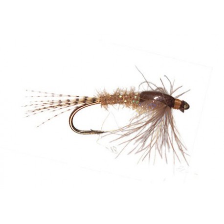 Foissets UV Callibaetis