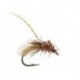Gallatin Glo Pupa Spotted Sedge