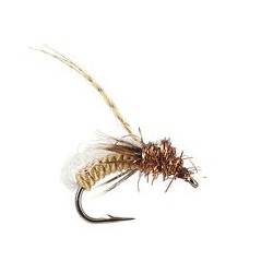 Gallatin Glo Pupa Spotted Sedge