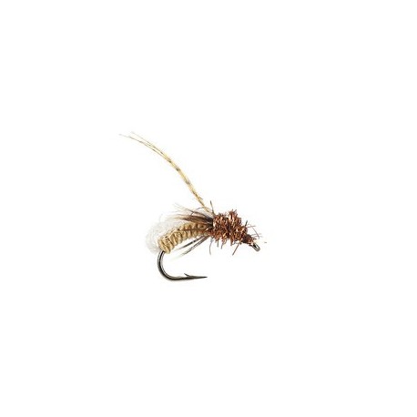Gallatin Glo Pupa Spotted Sedge