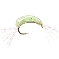 Gammarus Epoxy Natural Green Flash