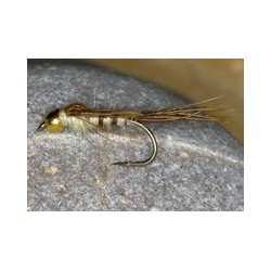 GheadMayflyNymph