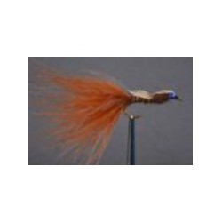 glass eyed damsel Brown