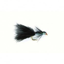 Glister Black Pearl Damsel