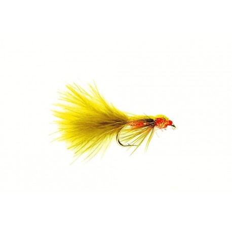 Glister Olive Orange Damsel